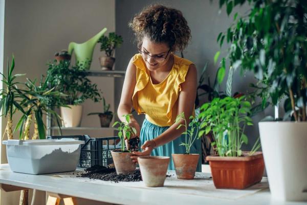 Plant Appreciation Day