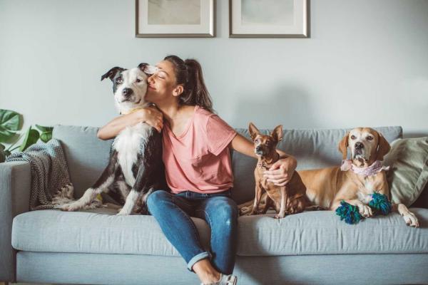 Dog Parent Appreciation Day