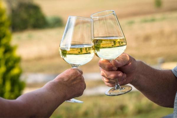 Pinot Grigio Day