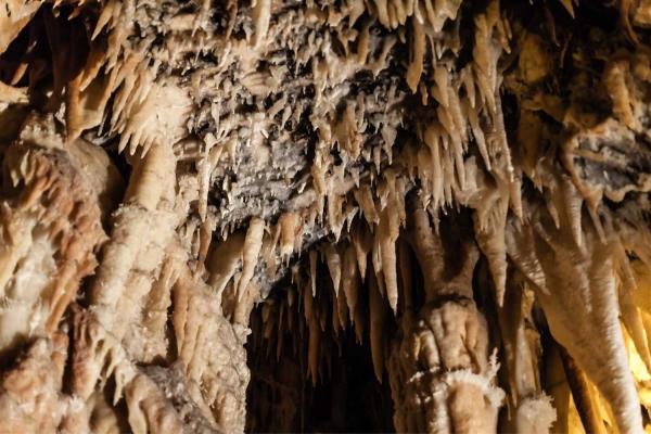 Caves and Karst Day