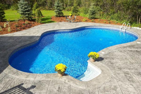 Swimming Pool Day 