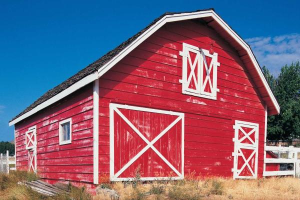 Barn Day