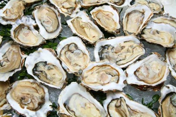 Oyster Day