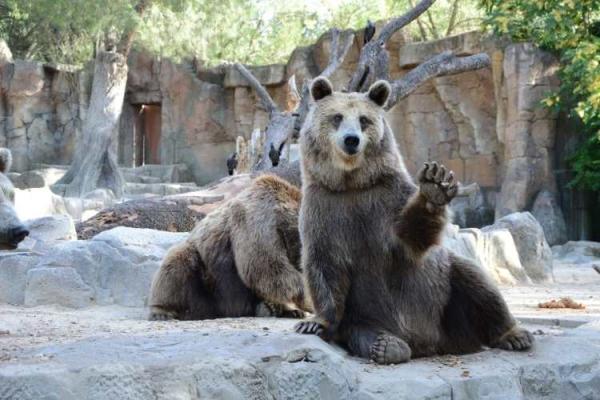 Zoo Awareness Day