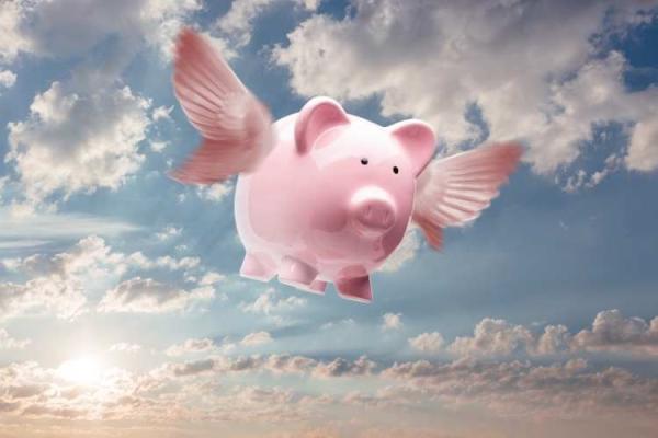 When Pigs Fly Day