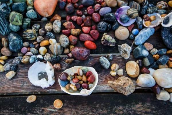 Collect Rocks Day