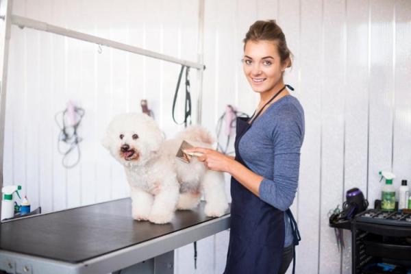 Love Your Dog Groomer Day