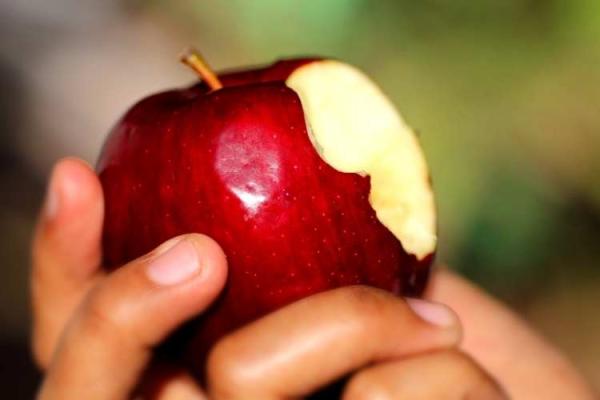 Eat An Apple Day