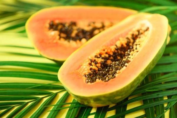Pawpaw Day