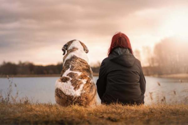 Canine Companion Day