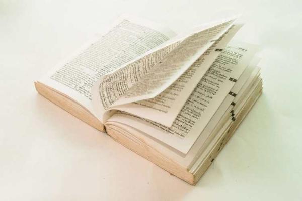 Dictionary Day