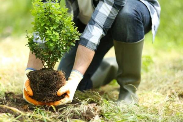 World Planting Day