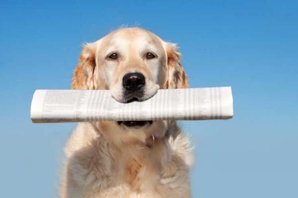 International Newspaper Carrier Day