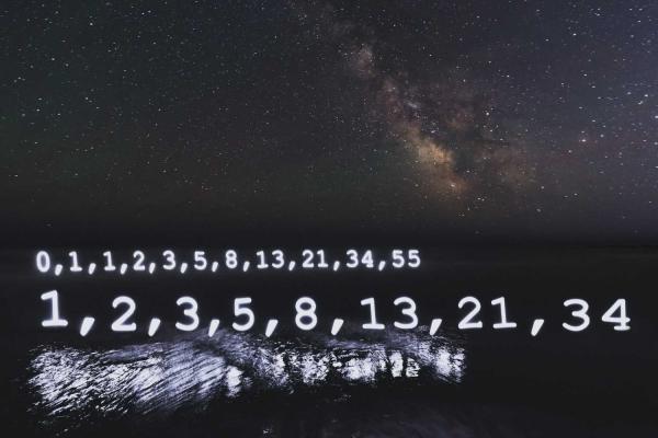 Fibonacci Day