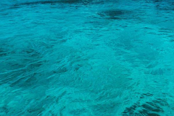 World Water Day