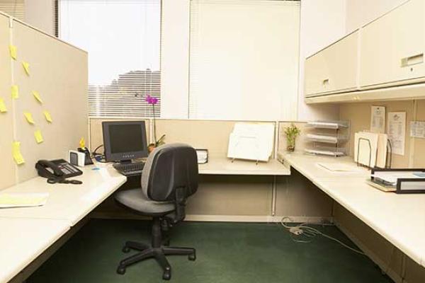 Cubicle Day