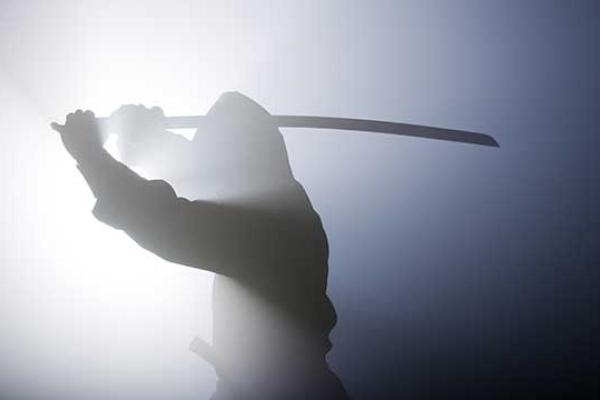Ninja Day
