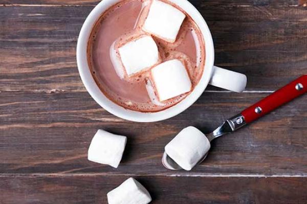 Cocoa day
