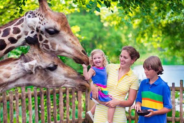 Visit the zoo day