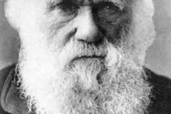 Darwin Day