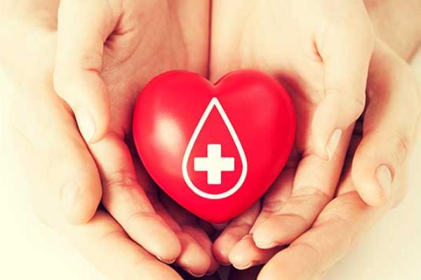 Organ Donor Day
