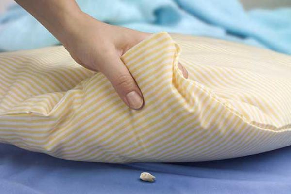 Tooth Fairy Day
