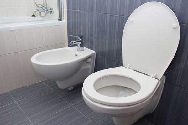 Thomas Crapper Day