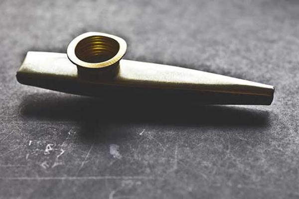 National Kazoo Day