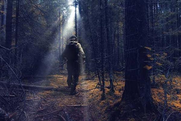 World Ranger Day