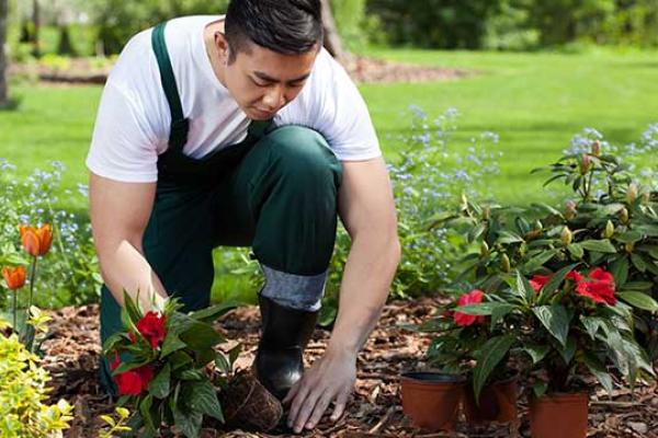 Plant a Flower Day