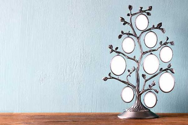 family tree