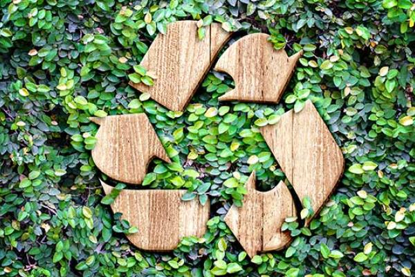 Recycling Day