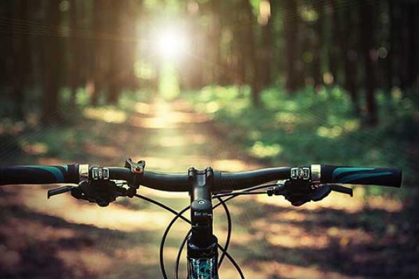 go for a ride Day