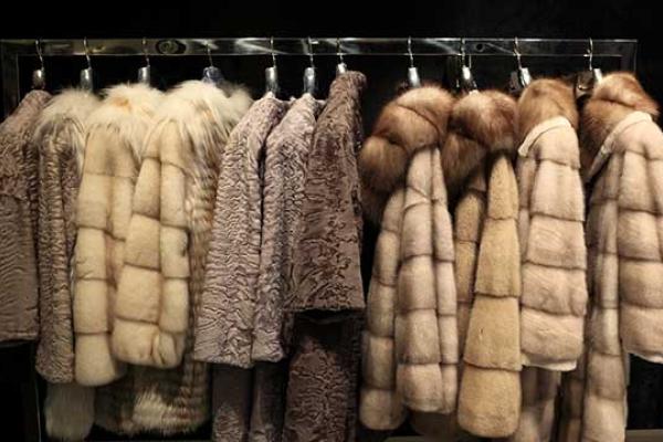 Fur Free Friday