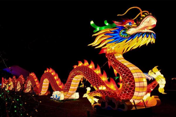 Appreciate a Dragon Day