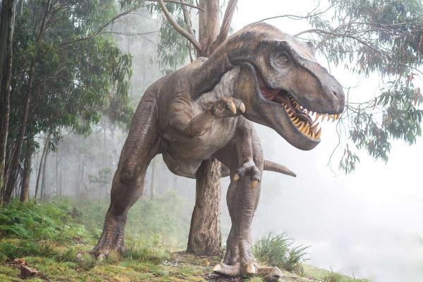 Dinosaur Day