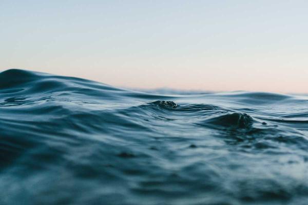 World Oceans Day 