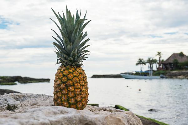 Pineapple Day