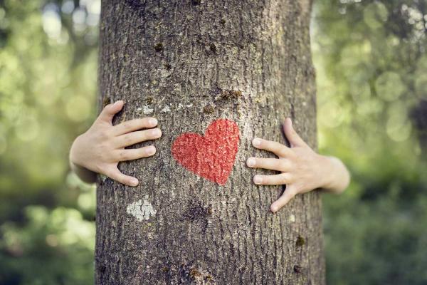 Love a Tree Day