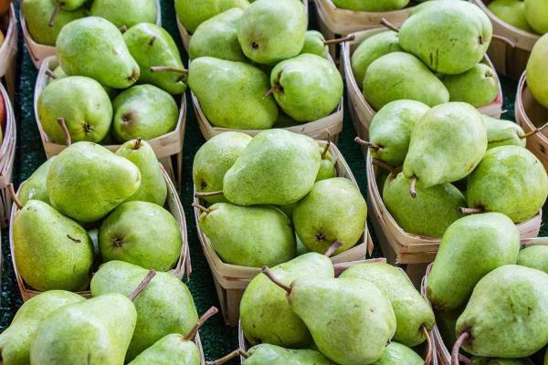 Pear Day