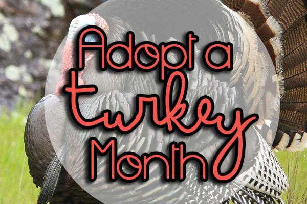 November is Adopt a Turkey Month