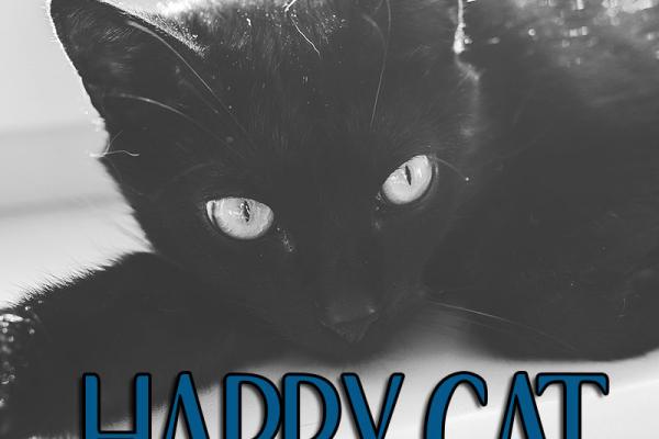 September is Happy Cat Month!