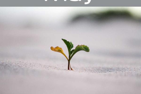 Stimulate Change Month