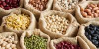 World Pulses / Legumes Day