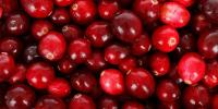 Cranberry Day