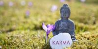 Tangible Karma Day