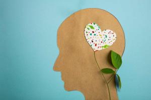 Mental Wellbeing