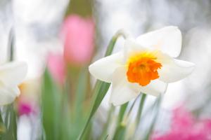 Skin care tips on April 10