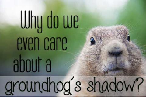 Why do we even care about a groundhog's shadow