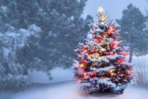 Christmas tree